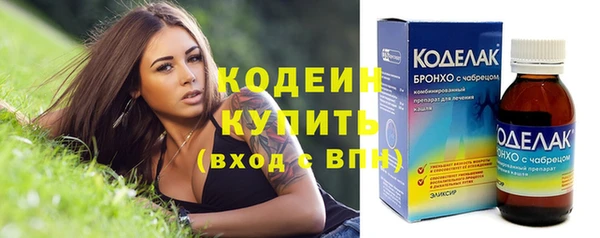 стафф Гусев