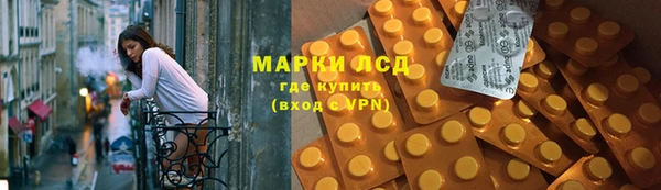 стафф Гусев
