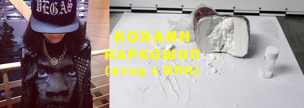 стафф Гусев