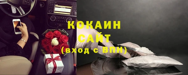 стафф Гусев