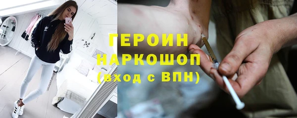 стафф Гусев