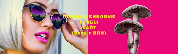 СК Дмитров