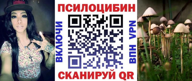 Галлюциногенные грибы мухоморы  Купить закладки  Светлый 